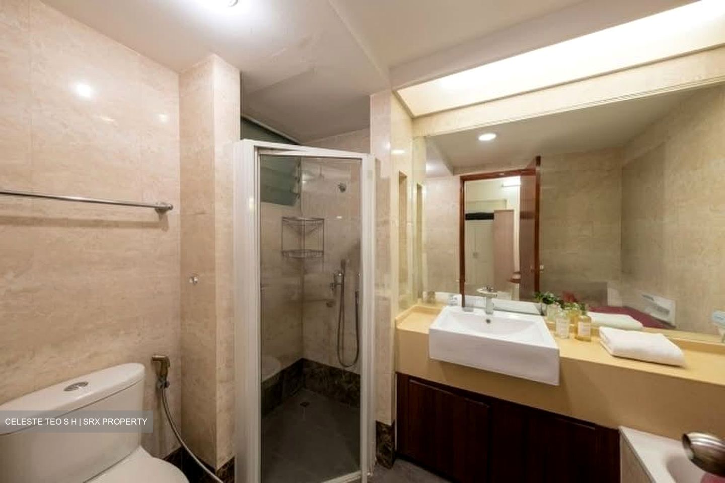 The Clearwater (D16), Condominium #600259011